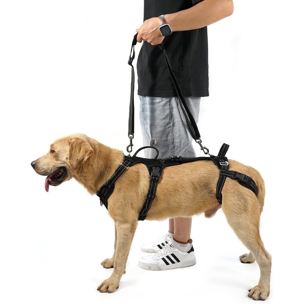 COODEO Small Dog Lift Harness‎ Polyester Rear Leg Support Rehab Sling Black